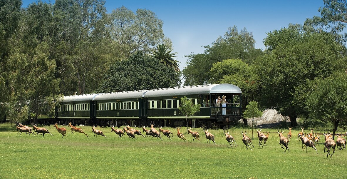 Voyage en train de luxe à travers la savane, offrant des expériences authentiques et des paysages iconiques avec TMR Voyages.