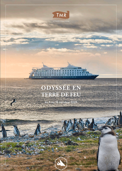 Des manchots sur la plage avec un navire de croisière en arrière-plan, une aventure proposée par TMR Voyages.